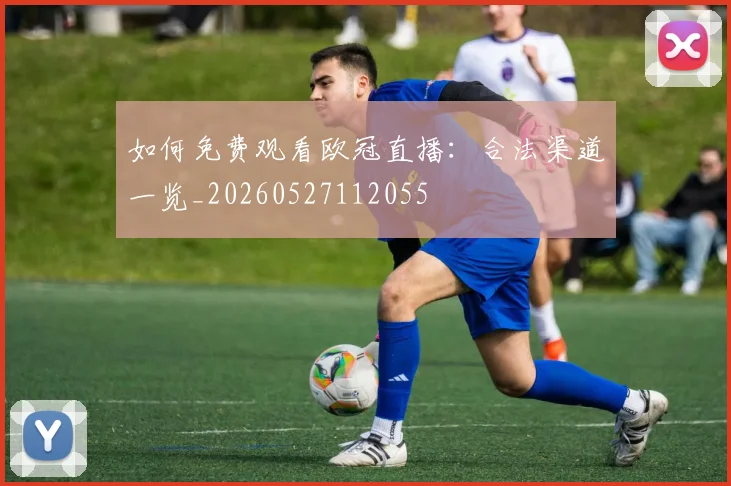 篮球明星的传奇故事:从草根到巨星的蜕变之路