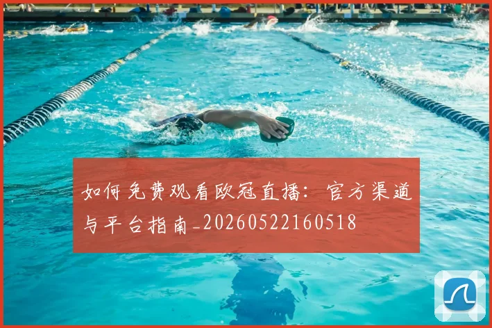 篮球明星的传奇故事:从草根到巨星的蜕变之路_20260529200415